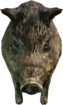 a_c_boar ped model in GTA 5