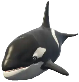 a_c_killerwhale ped model in GTA 5