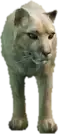 a_c_mtlion ped model in GTA 5