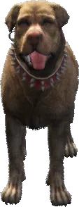 a_c_rottweiler_02 ped model in GTA 5