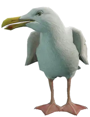 a_c_seagull ped model in GTA 5